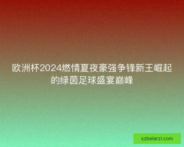 欧洲杯2024燃情夏夜豪强争锋新王崛起的绿茵足球盛宴巅峰