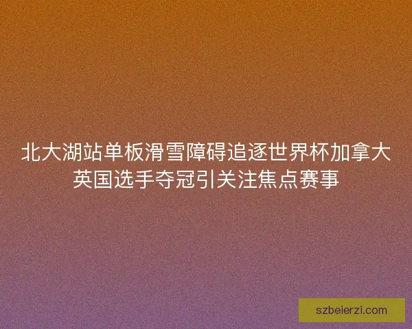 北大湖站单板滑雪障碍追逐世界杯加拿大英国选手夺冠引关注焦点赛事