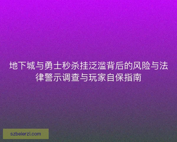 地下城与勇士秒杀挂泛滥背后的风险与法律警示调查与玩家自保指南