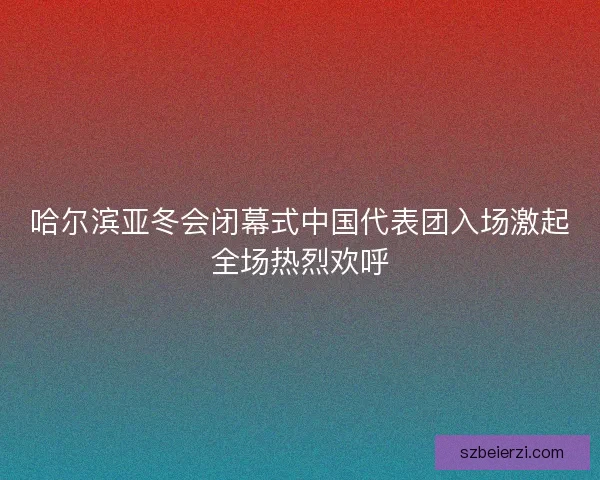哈尔滨亚冬会闭幕式中国代表团入场激起全场热烈欢呼
